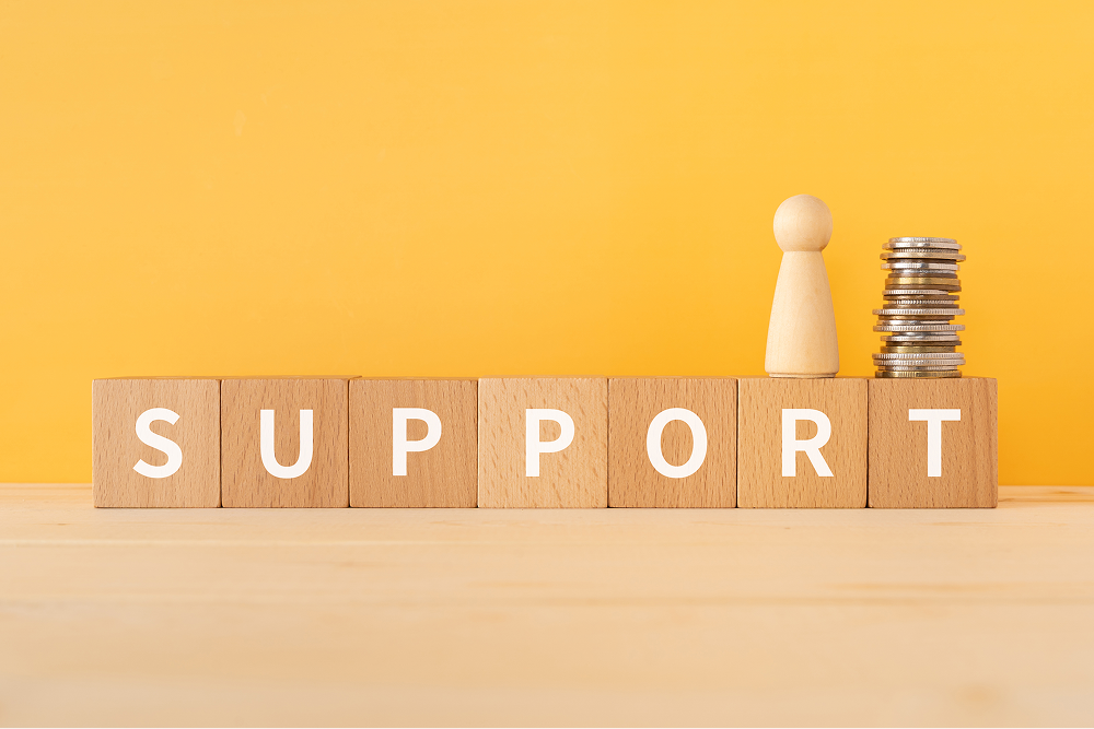 University Admissions Support